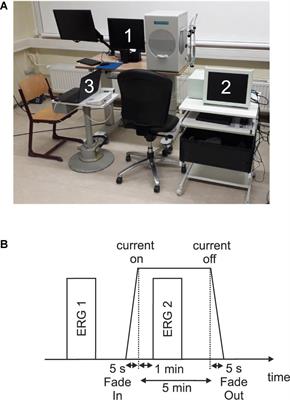 Effects of Ocular Direct Current Stimulation on Full Field Electroretinogram